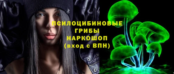 молекула духа Алексеевка