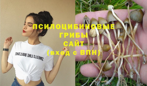 молекула духа Алексеевка