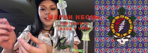 мет Алексин