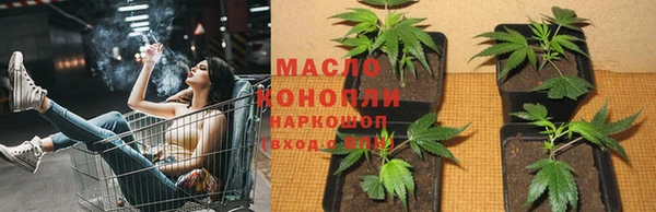 молекула духа Алексеевка